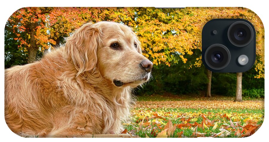 Golden Retriever iPhone Case featuring the photograph Golden Retriever Dog Autumn Day by Jennie Marie Schell