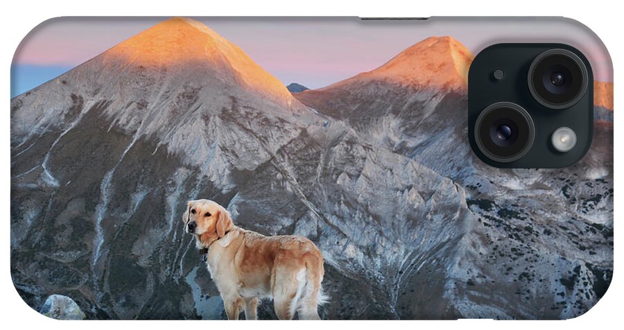 Pets iPhone Case featuring the photograph Golden Retriever Dog On Mountain Summit by Maya Karkalicheva