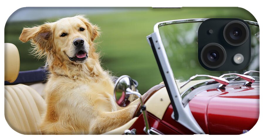 Golden Retriever iPhone Case featuring the photograph Golden Retriever In Car by John Daniels