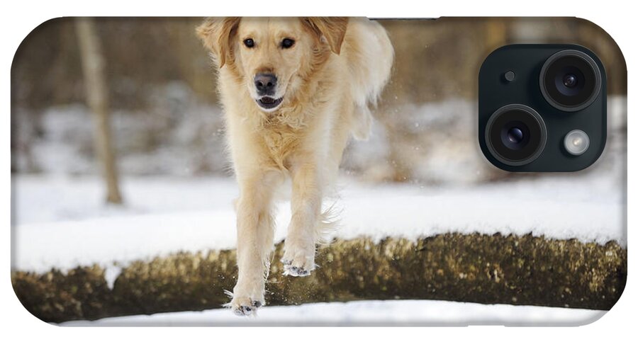 Dog iPhone Case featuring the photograph Golden Retriever Jumping by John Daniels