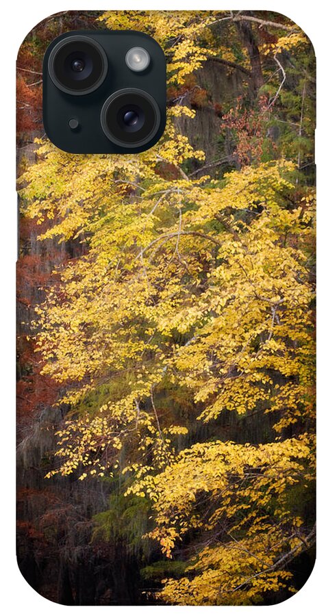 Autumn iPhone Case featuring the photograph Golden Rust by Lana Trussell