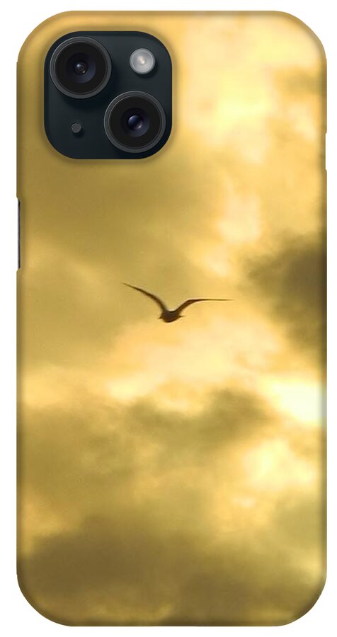 Birds iPhone Case featuring the photograph Golden Sky by Gallery Of Hope 