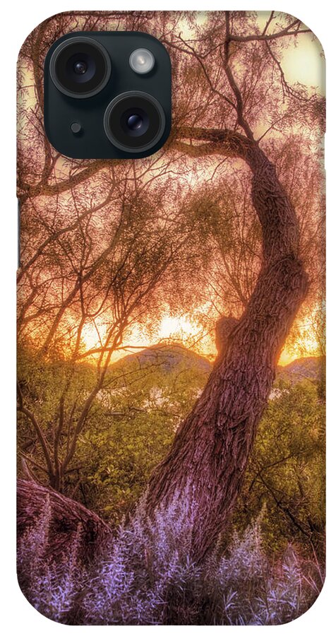Tree iPhone Case featuring the photograph Golden Tree at the Quartz Mountains - Oklahoma by Jason Politte