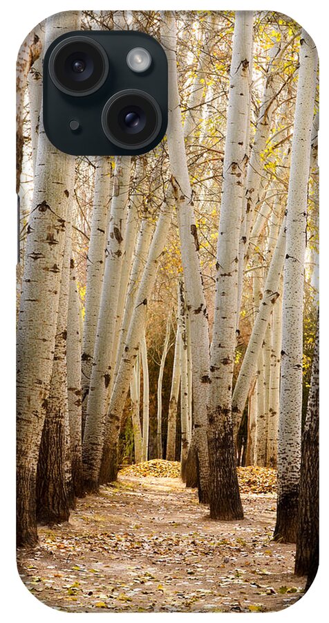 Dunhuang iPhone Case featuring the photograph Golden Trees Dunhuang China by Sally Ross