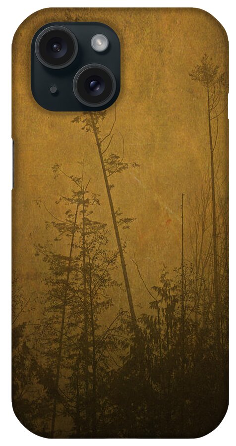 Trees iPhone Case featuring the photograph Golden Trees in Winter by Peggy Collins