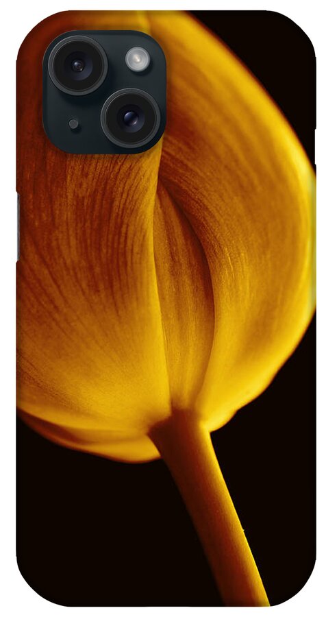 Tulip iPhone Case featuring the photograph Golden Tulip Flower Macro by Jennie Marie Schell