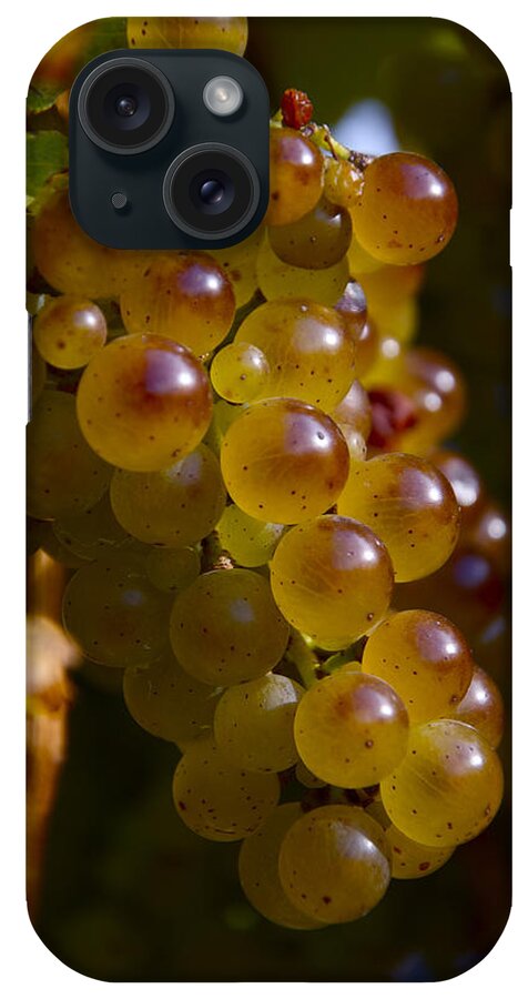 Wine iPhone Case featuring the photograph Golden Wine Grapes by Owen Weber