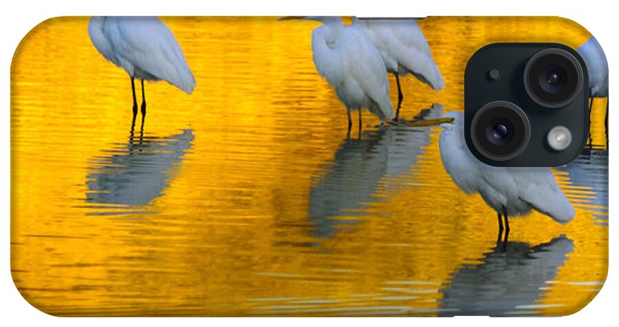 Heron iPhone Case featuring the photograph On Golden Pond by Tam Ryan