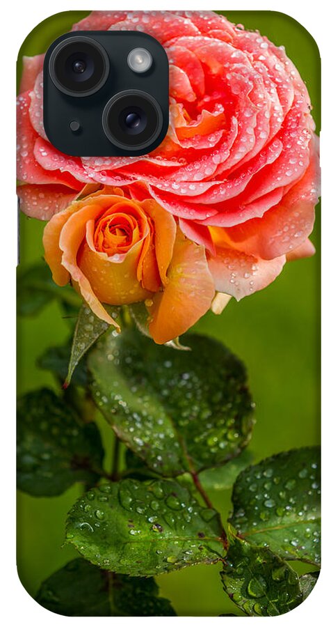 Rose iPhone Case featuring the photograph Good Morning Beautiful by Ken Stanback