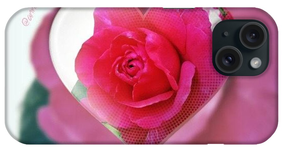 Valentine's Day Rose iPhone Case featuring the photograph Valentine's Day Rose by Anna Porter