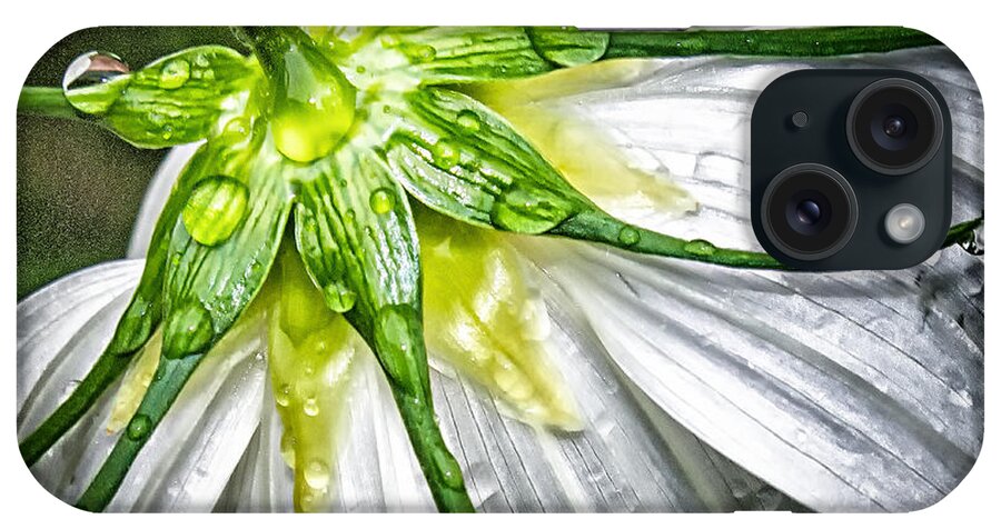 Macro iPhone Case featuring the photograph Got Ya by Barry Weiss
