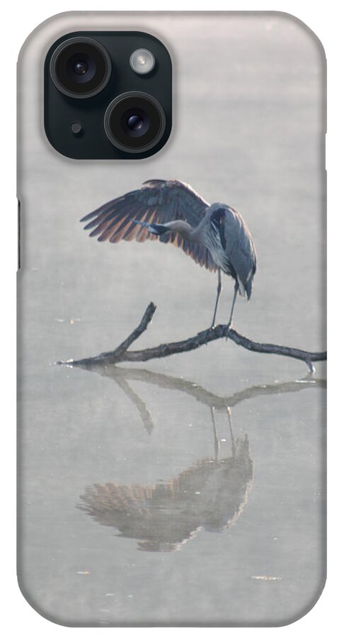 Great Blue iPhone Case featuring the photograph Graceful Heron by Anita Oakley