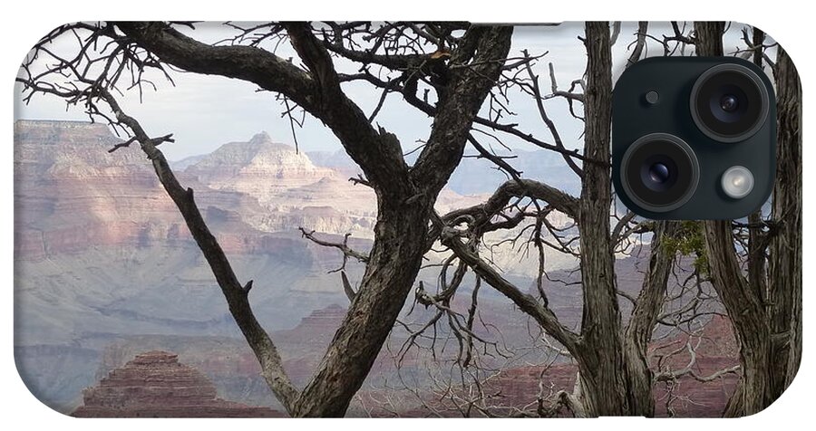 Grand Canyon iPhone Case featuring the photograph Grand Canyon View by Mars Besso
