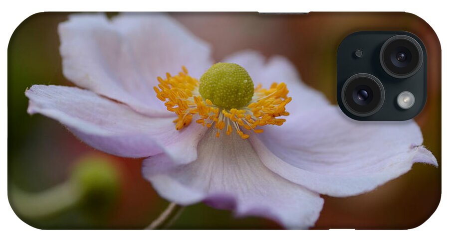 Pink Japanese Anemone iPhone Case featuring the photograph Grand Opening by Fraida Gutovich