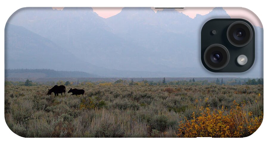 Moose Sunrise At Grand Teton National Park Brian Harig iPhone Case featuring the photograph Grand Teton Moose by Brian Harig