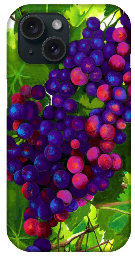 Grapevine iPhone Case featuring the painting Grapes on the Vine by Jackie Case