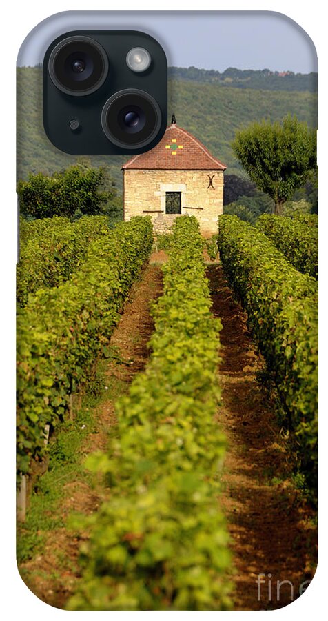 Architectures  iPhone Case featuring the photograph Grapevines. Premier cru vineyard between Pernand Vergelesses and Savigny les Beaune. Burgundy. Franc by Bernard Jaubert