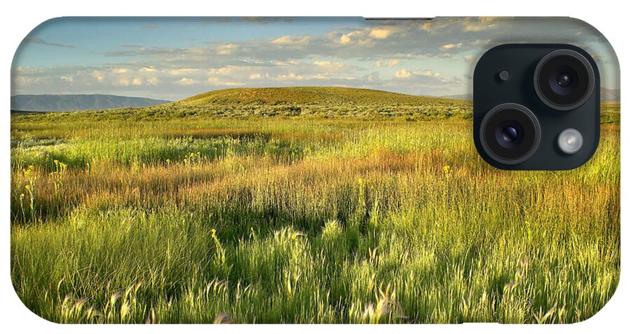 00175296 iPhone Case featuring the photograph Grasslands Arapaho NWR by Tim Fitzharris