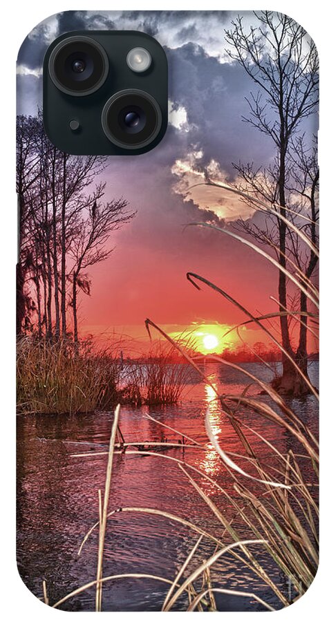 Low Country Sunset iPhone Case featuring the photograph Grassy View Sunset by Mike Covington