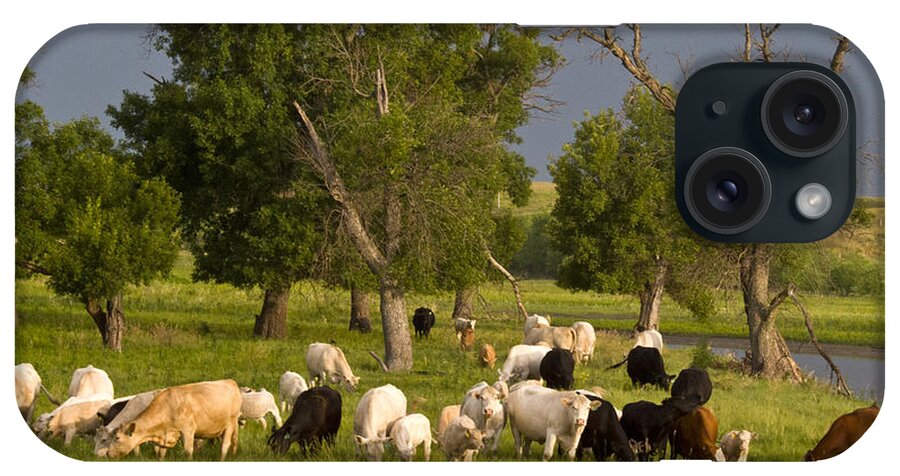 Herd iPhone Case featuring the photograph Grazing by Don Durfee
