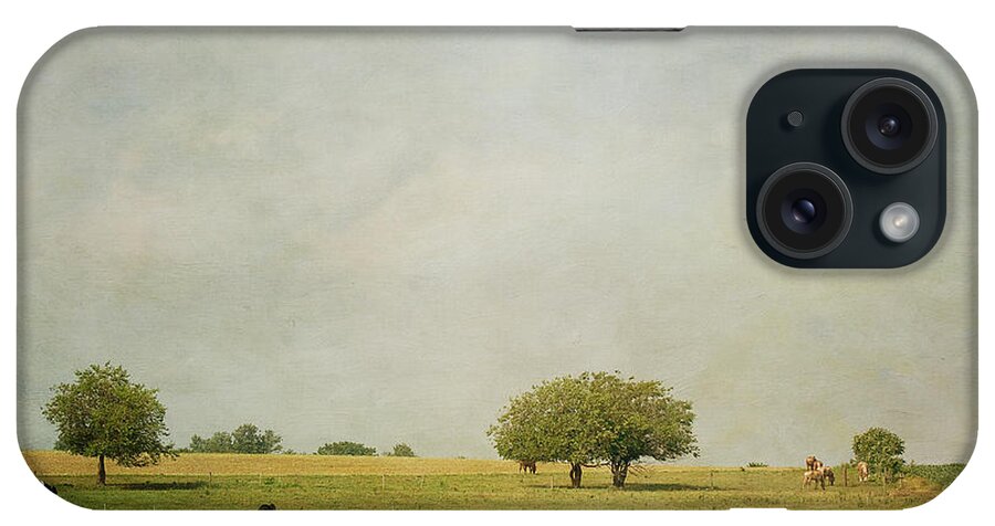  Cow iPhone Case featuring the photograph Grazing by Kim Hojnacki