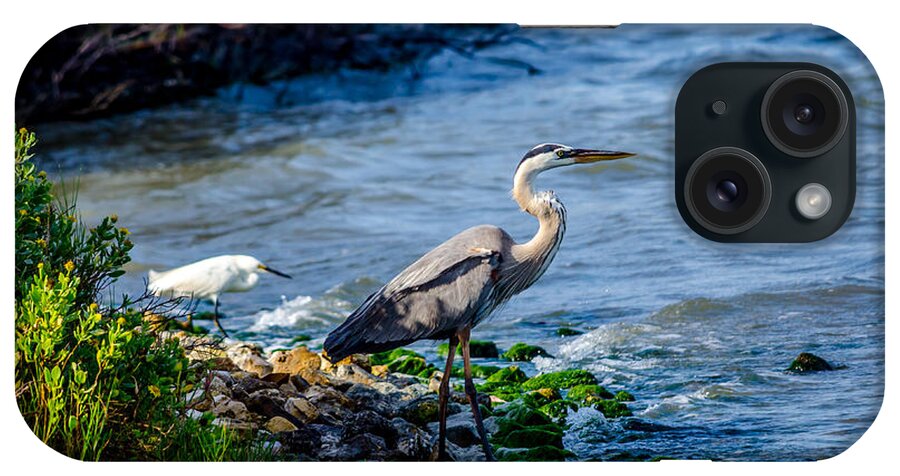 Great Blue Heron iPhone Case featuring the photograph Great Blue Heron and Snowy Egret at Dinner Time by Debra Martz