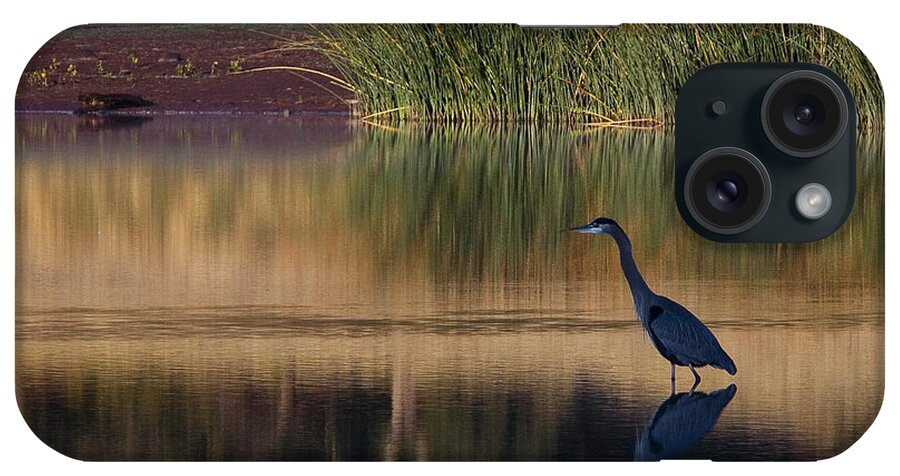 Bidwell Park iPhone Case featuring the photograph Great Blue Heron At Horseshoe Lake by Robert Woodward