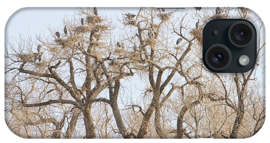 Animals iPhone Case featuring the photograph Great Blue Heron Colony by James BO Insogna