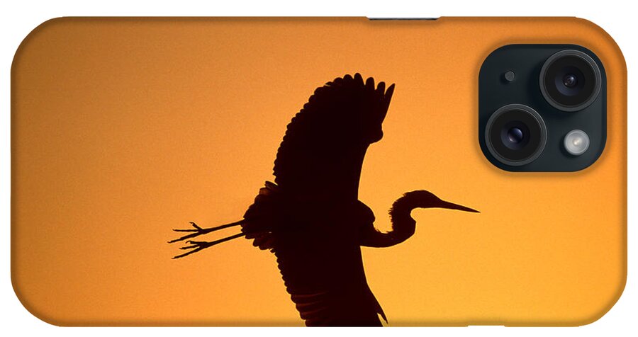 Feb0514 iPhone Case featuring the photograph Great Blue Heron Flying At Sunset by Tom Vezo