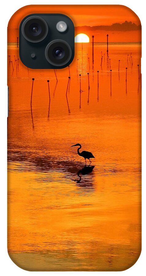 Great Blue Heron iPhone Case featuring the photograph Great Blue Heron by Stuart Harrison