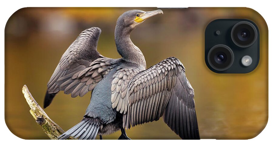 Phalacrocorax Carbo iPhone Case featuring the photograph Great Cormorant Drying Its Wings by Simon Booth