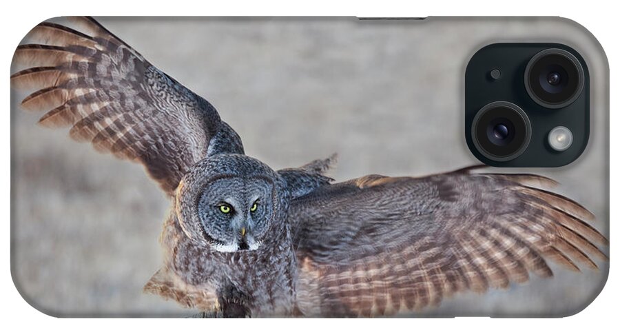Animals In The Wild iPhone Case featuring the photograph Great Grey Owl Strix Nebulosa by Susan Dykstra