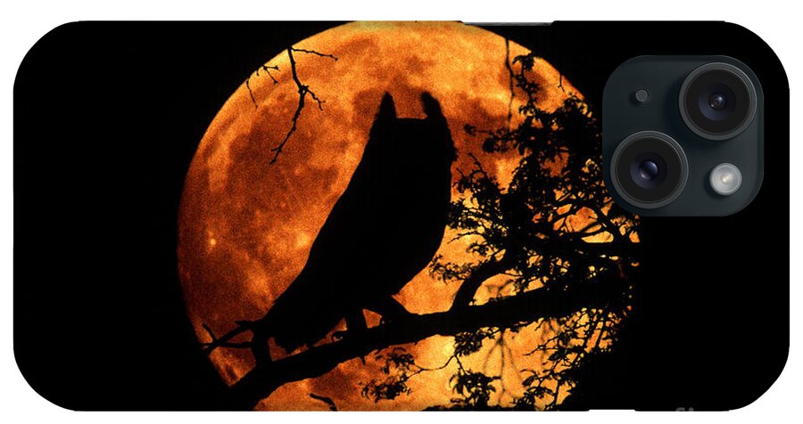 Animal iPhone Case featuring the photograph Great Horned Owl And Moon by Kenneth W Fink