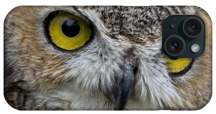 Owl iPhone Case featuring the photograph Great Horned Owl by James Woody