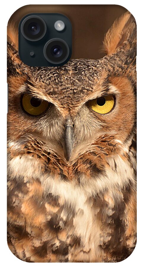 Great Horned Owl iPhone Case featuring the photograph Great Horned Owl by Nancy Landry