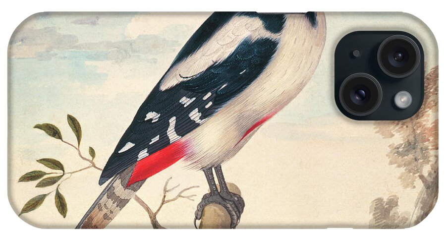 Watercolour iPhone Case featuring the photograph Great Spotted Woodpecker by Natural History Museum, London/science Photo Library