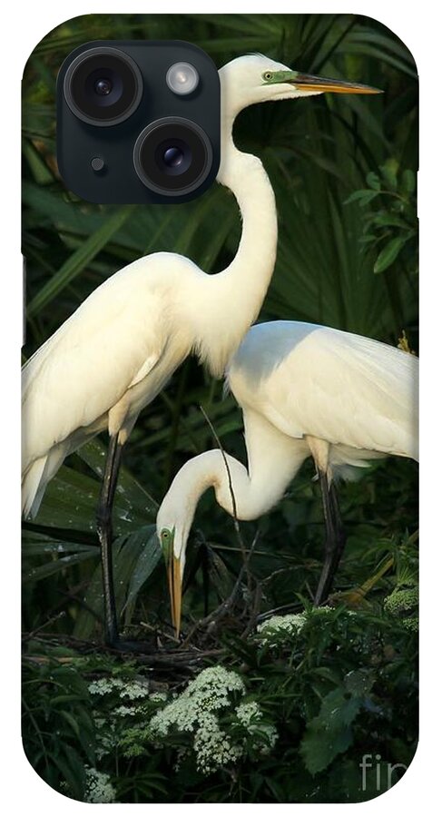 Art iPhone Case featuring the photograph Great White Egret Mates by Sabrina L Ryan