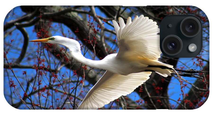 Great White Heron iPhone Case featuring the photograph Great White Heron Islip New York by Bob Savage