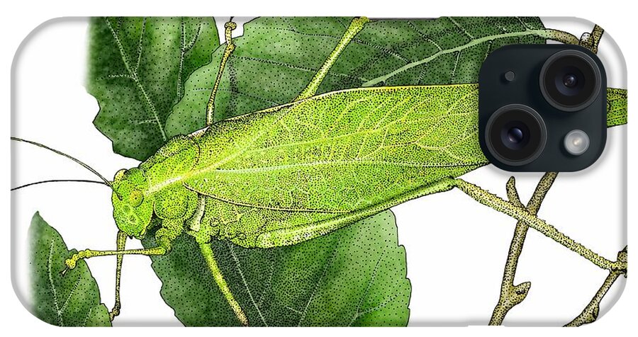 Greater Angle-wing Katydid iPhone Case featuring the photograph Greater Angle Wing Katydid by Roger Hall