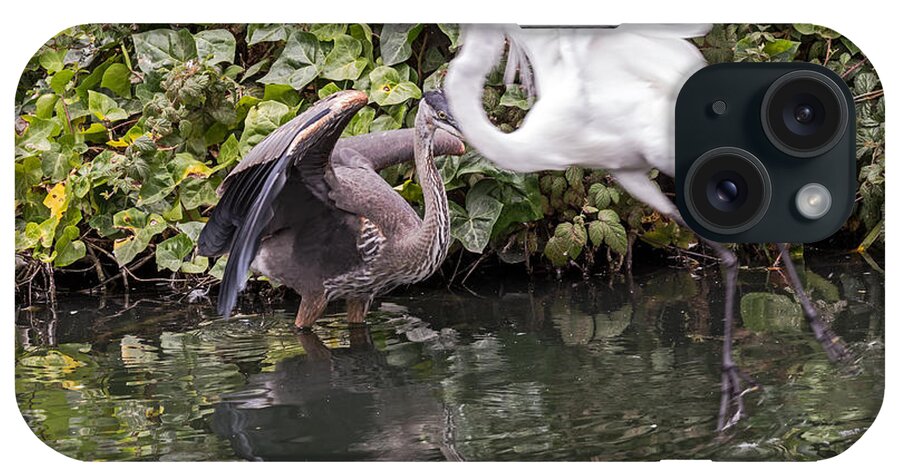 Ardea Alba iPhone Case featuring the photograph Greats Collide by Kate Brown