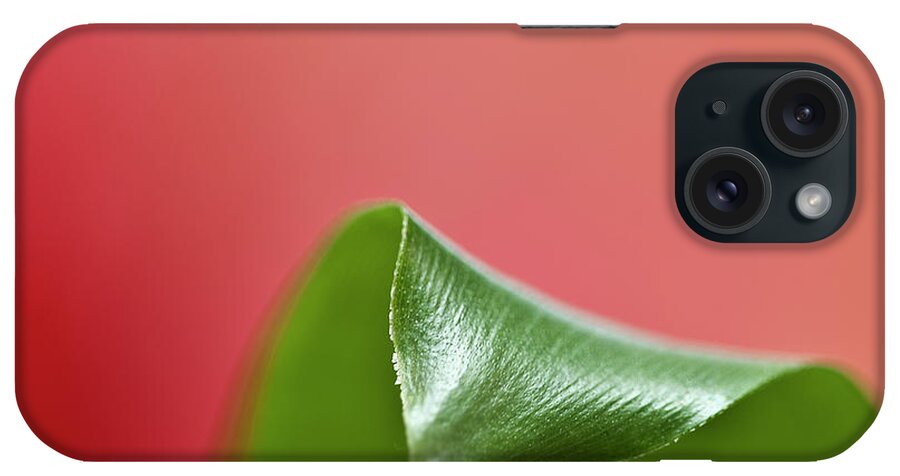 Heiko iPhone Case featuring the photograph Green and Red by Heiko Koehrer-Wagner