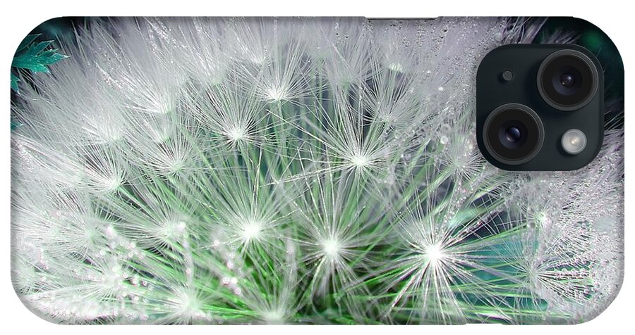 Dandelion iPhone Case featuring the photograph Green and white dandelion by Karin Ravasio