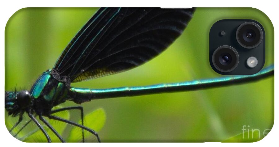 Damselfly iPhone Case featuring the photograph Green Damselfly by Lynellen Nielsen