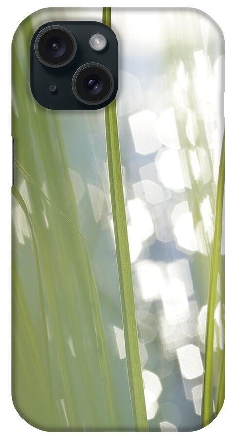 Balance iPhone Case featuring the photograph Green grass and glittering lake - available for licensing by Ulrich Kunst And Bettina Scheidulin