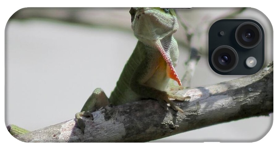 Anole iPhone Case featuring the photograph Green is Cool by Jeanne Juhos