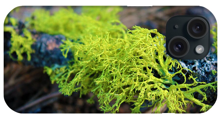 Green iPhone Case featuring the photograph Green Lichen by Josh Bryant