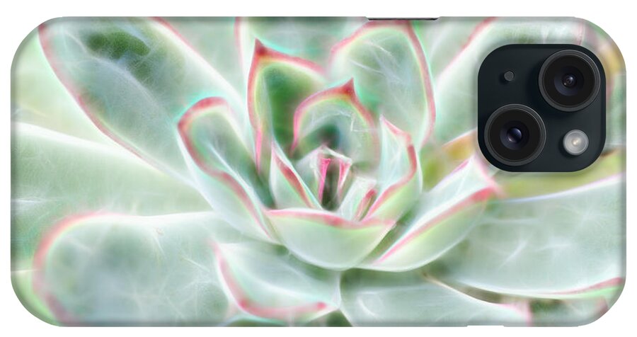 Succulent iPhone Case featuring the photograph Green Pink Succulent Glow by Beth Venner