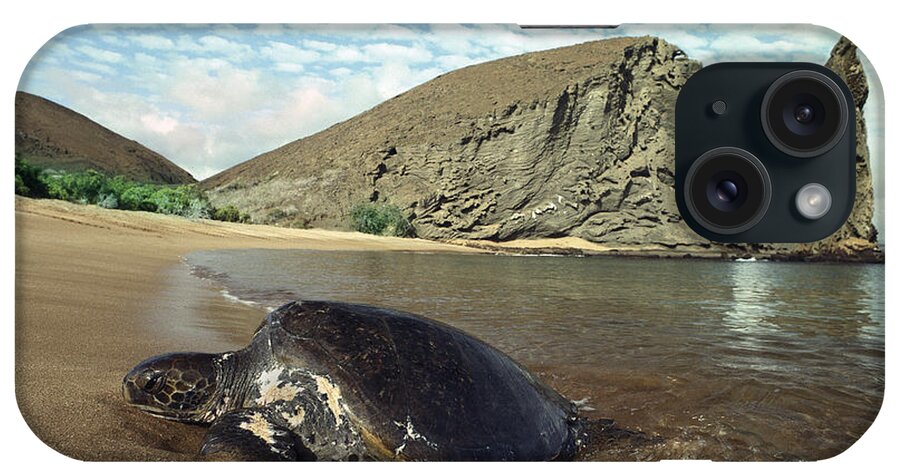 Feb0514 iPhone Case featuring the photograph Green Sea Turtle Bartolome Island by Tui De Roy