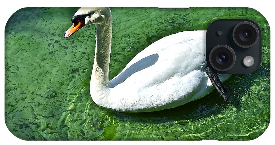 Swan iPhone Case featuring the photograph Green Swan by Jerry Hart