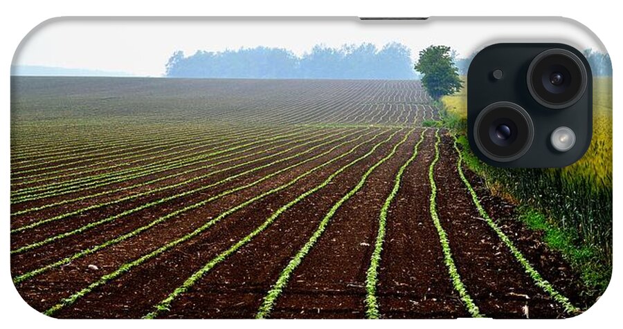 Landscape iPhone Case featuring the photograph Green Track Meander by Jeremy Hall